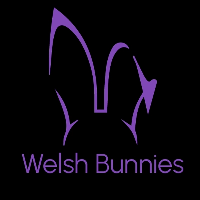 Welsh Bunnies profile image